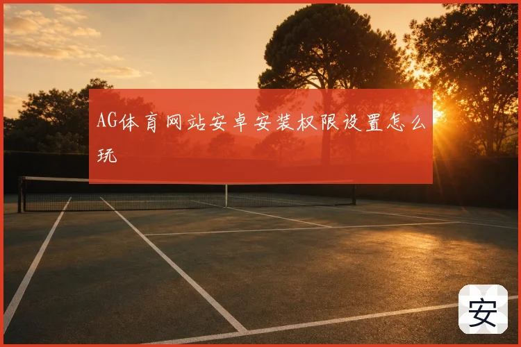 AG体育网站安卓安装权限设置怎么玩