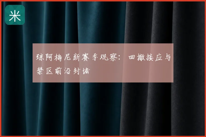 琼阿梅尼新赛季观察：回撤接应与禁区前沿封堵